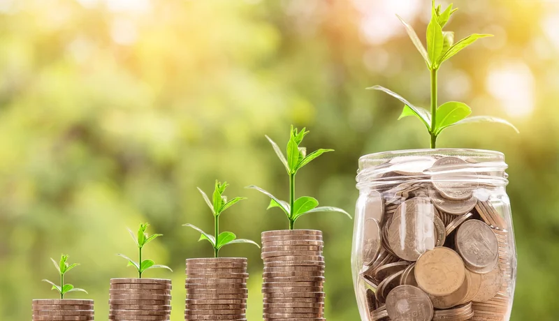 BMGMoney builds credit score growing coins financial improvement